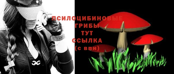 ешки Вязьма