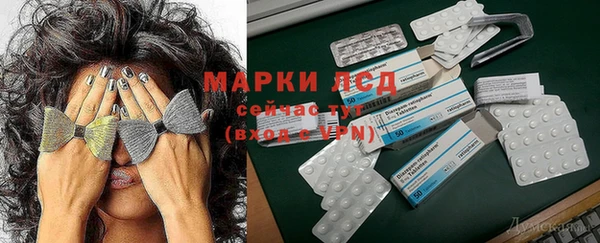 ешки Вязьма
