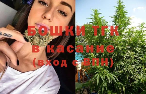 круглые Вяземский