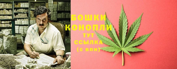 круглые Вяземский